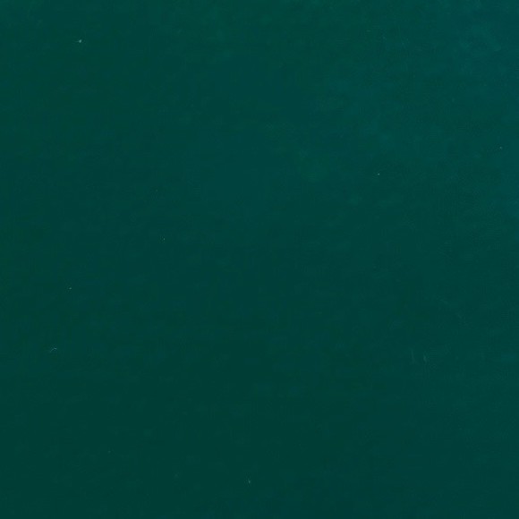 Sicherheitsabdeckung Farbe 2